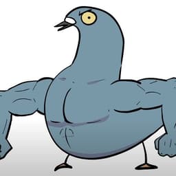 traxtarist