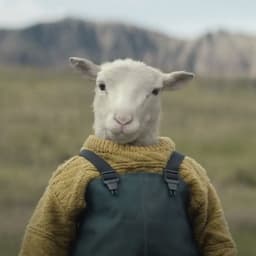 lammylammb