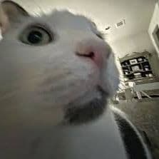 Swipeh