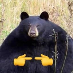 FRA1Z_