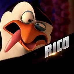 Rico22856