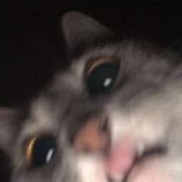 Leox0