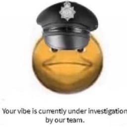 VIBECOP