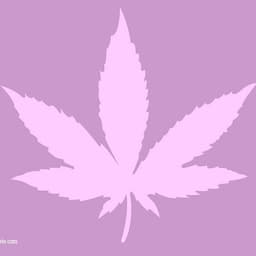 JACKII420