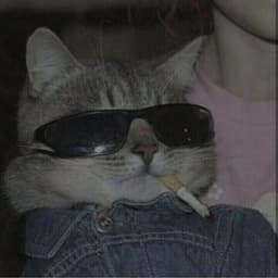 Pilllow