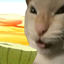 Lisiasty1