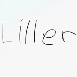 Liller04