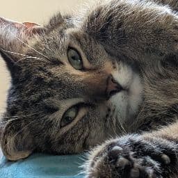 StanleyHere