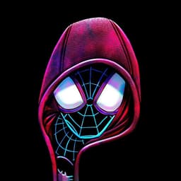 WeilSalamiX