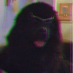 Neer0p-