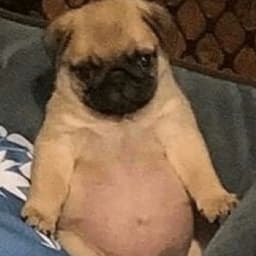 Invv