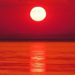 Ban_1n