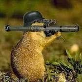 Panzermurmel