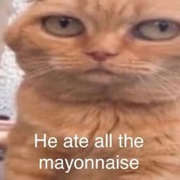 IEatMayo