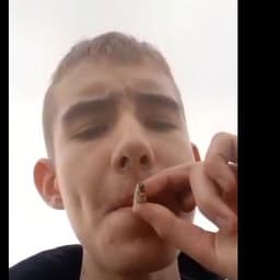 vexoawg