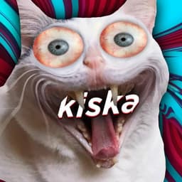kiskaCS