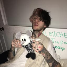 29flawix
