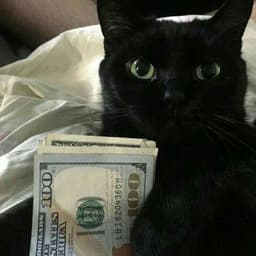 Kysoy