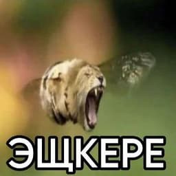 neNavimamot