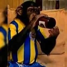 yunusbabapro