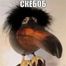 sWeG_0