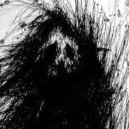 psychorey