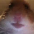 Jami_0