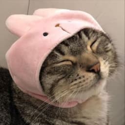 smokeys-