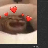 timocute