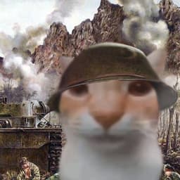 vsemsosal