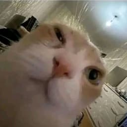 nokit_