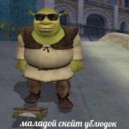 govnochistic