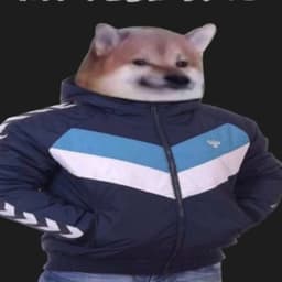 VEKIIII