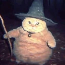 Katanaaa