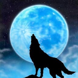 LaurWolf