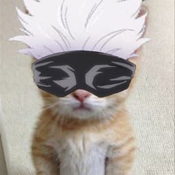 igryhead