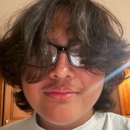 fakemink420