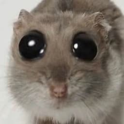_farvex_