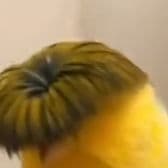 crlI