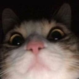 vlodyst