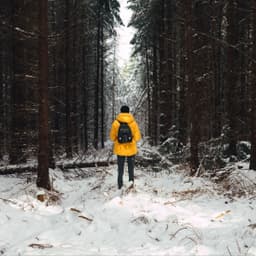 Deffectivee
