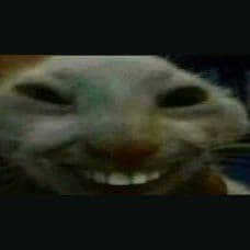 RATXDD