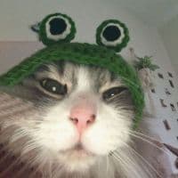 coopb0t