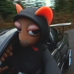 rifflex