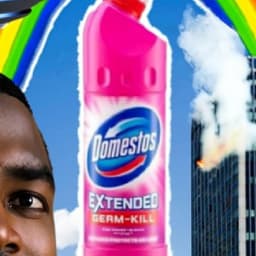 Domestoxd