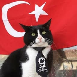 gizlisevdam