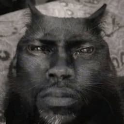 snilik