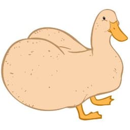 90807060