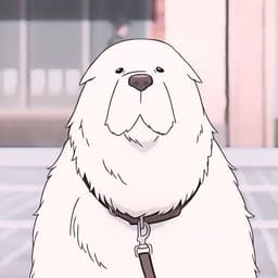 borf_cs