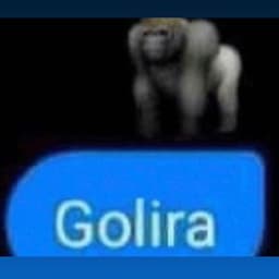 p_e_p_a
